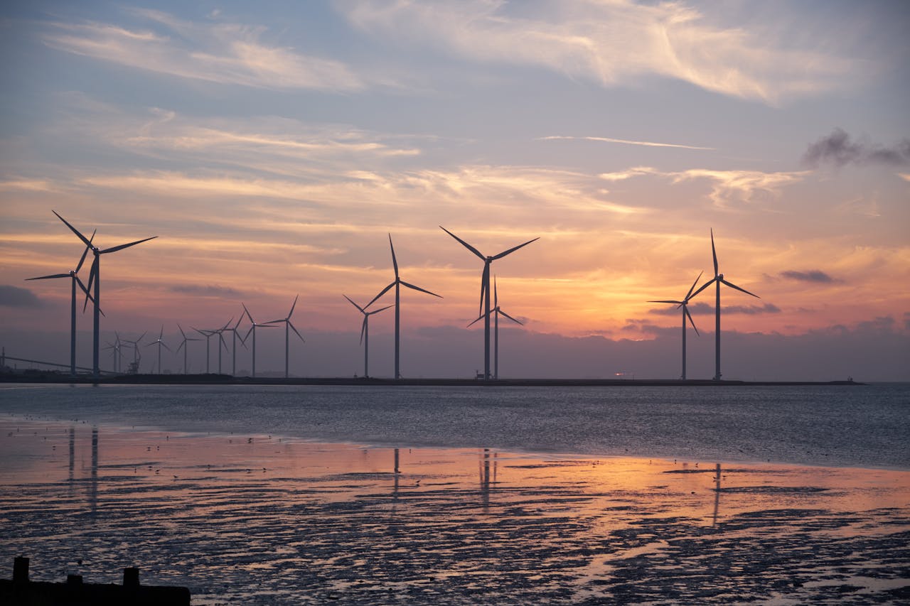 services-03 Wind turbines on the shoreline silhouette against a vibrant sunset, promoting renewable energy.